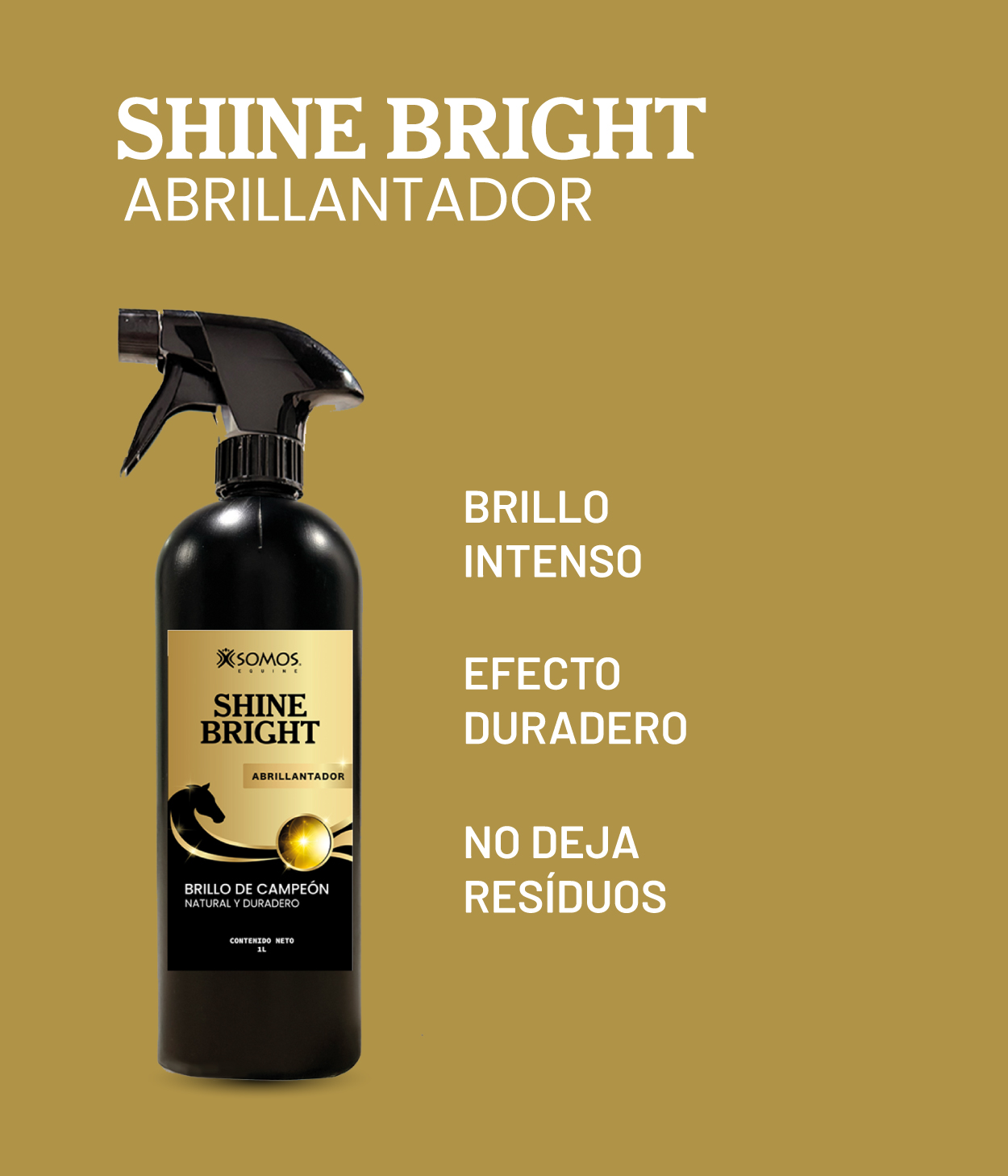 Shine Bright - Abrillantador_Banner previo de producto_V2